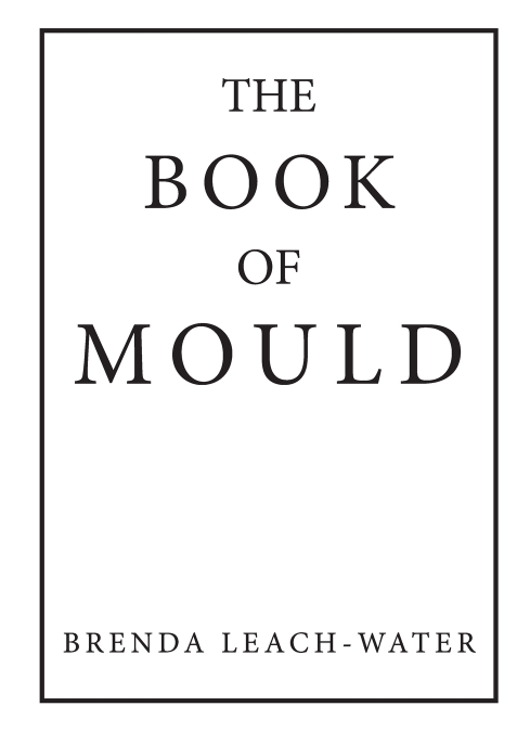 The Book of Mould: A Guide To Reducing The Risk Of Damp